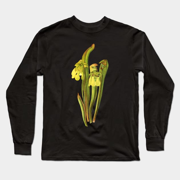 Hooded Pitcherplant - Sarracenia Minor- Walcott - Botanical Illustration Long Sleeve T-Shirt by chimakingthings